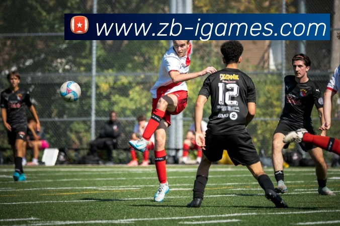 爱游戏app品牌故事