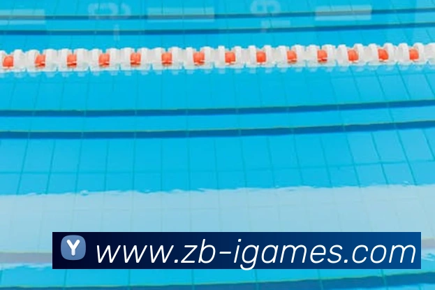 多媒体互动体验